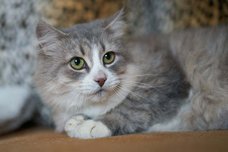 ����� �������� � ��������� ������� ����