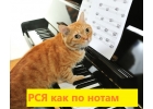Реклама в Рекламной Сети Яндекса. Количество заказов ограничено