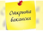 Консультант оптового отдела