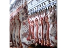 Производство и оптовые продажи мяса в ассортименте