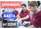 Упаковщики, МоскваМосковская область Вахта Работа